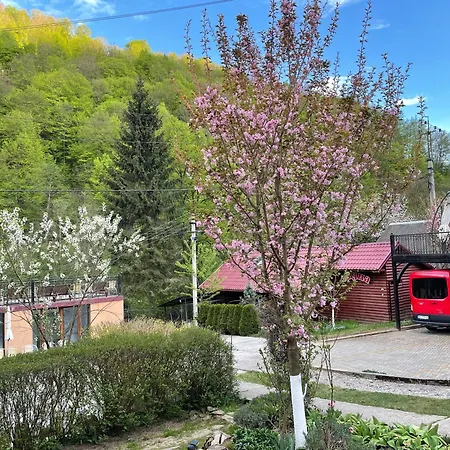 Nad Tisou Kvasy